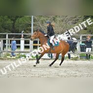 PR2_1746_Gramont