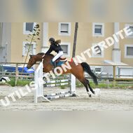 PR2_1754_Gramont