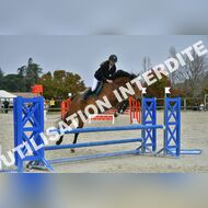 PR2_1755_Gramont