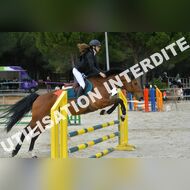 PR2_1757_Gramont