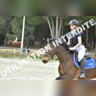 PR2_1764_Gramont