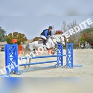 PR2_1794_Gramont