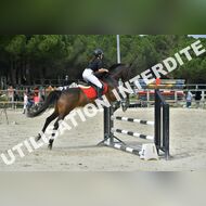 PR2_1801_Gramont