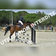 PR2_1831_Gramont