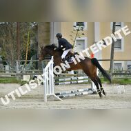 PR2_1835_Gramont