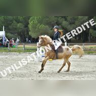 PR2_1842_Gramont