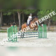 PR2_1894_Gramont