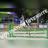 PR2_1901_Gramont