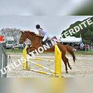 PR2_1908_Gramont