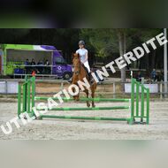 PR2_1911_Gramont