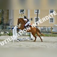 PR2_1979_Gramont