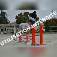 PR2_0343_Gramont