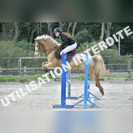 PR2_0354_Gramont