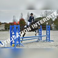 PR2_0370_Gramont