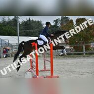 PR2_0373_Gramont