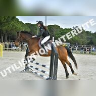 PR2_0396_Gramont
