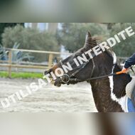 PR2_0408_Gramont