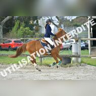 PR2_0434_Gramont