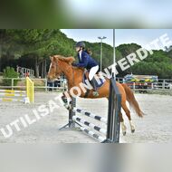 PR2_0440_Gramont