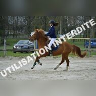 PR2_0441_Gramont