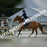 PR2_0449_Gramont