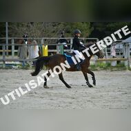 PR2_0451_Gramont