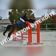 PR2_0461_Gramont