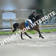 PR2_0462_Gramont
