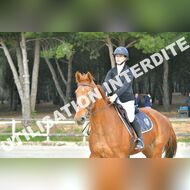 PR2_0464_Gramont