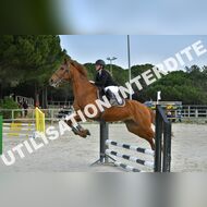 PR2_0469_Gramont