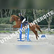 PR2_0470_Gramont
