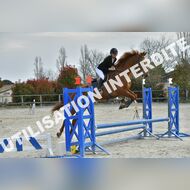 PR2_0472_Gramont