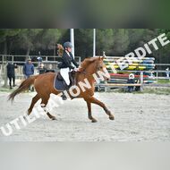 PR2_0474_Gramont