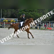 PR2_0475_Gramont