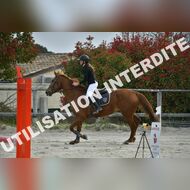 PR2_0477_Gramont