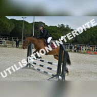 PR2_0481_Gramont