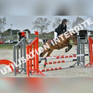 PR2_0486_Gramont
