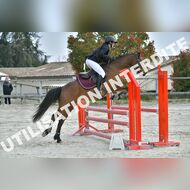 PR2_0488_Gramont