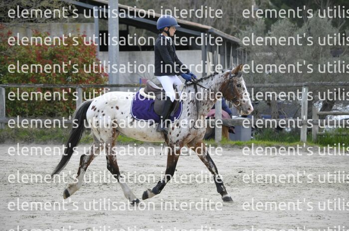 _SNS9319_Gramont