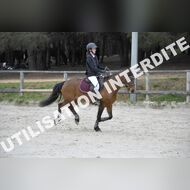 _SNS9331_Gramont