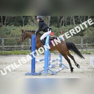 _SNS9335_Gramont