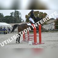 _SNS9380_Gramont