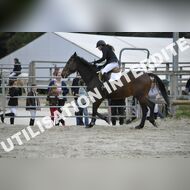 _SNS9382_Gramont