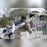 _SNS9388_Gramont
