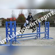 _SNS9398_Gramont