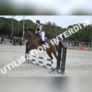 _SNS9408_Gramont