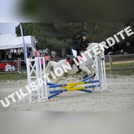 _SNS9418_Gramont