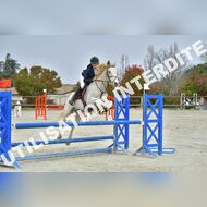PR2_2056_Gramont