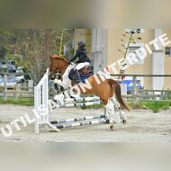PR2_2066_Gramont