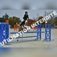 PR2_2067_Gramont